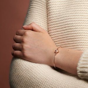 Meet your Posher, Hazel